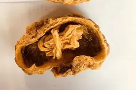 36岁的我每天吃胎盘，身体变化大！图片