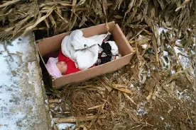 1987年湖北夫妻收养弃婴，培养成博士后，亲生父母相认遭拒绝图片