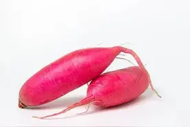 三十年的时间，为什么美国男性的“丁丁”变长了？图片