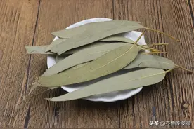 怎么除蟑螂最有效彻底！只用这几招蟑螂没了图片