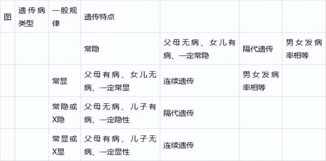 高中生物-变异育种及进化