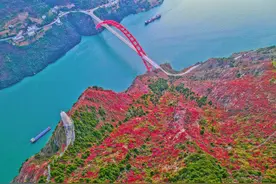 白鹿原管委会2022年6月份重点项目图片