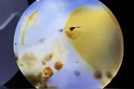 画面石之美图片
