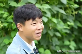 闲不住的阿俊：从纪录片导演到养猪男孩，阿俊用田园生活走红网络图片
