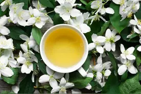 南派茉莉的对唱，中茶两大茉莉花茶品牌对冲评测，猴王对蝴蝶图片