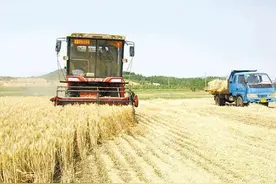 请不要把农村家庭土地承包经营说成是“单干”，因为那不是单干图片