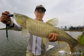 钓草鱼到底该如何调漂？超详细草鱼调漂细节，快收藏图片