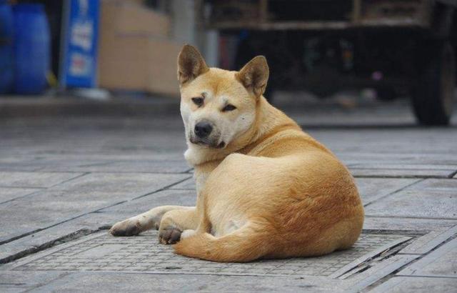 ЩĹ֣