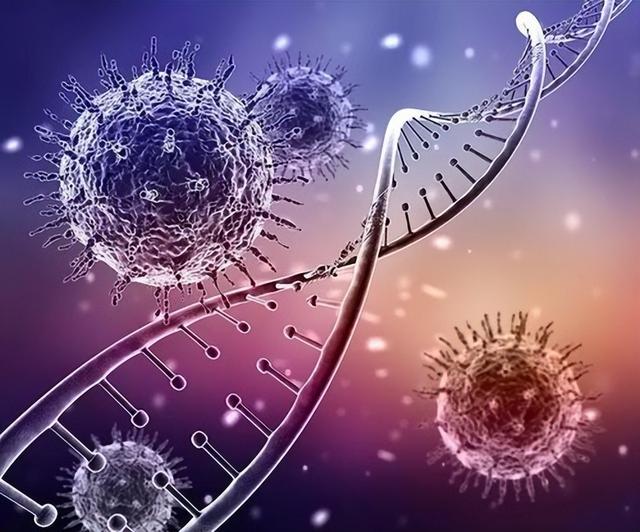 肝的作用，你知道吗？