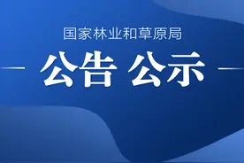 国家林业和草原局公告（2023年第24号）（2023年度林木良种名录）图片
