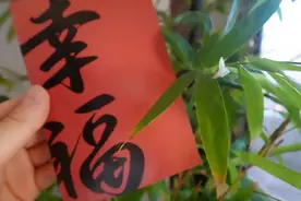 欲望太多的你，注定与幸福无缘图片