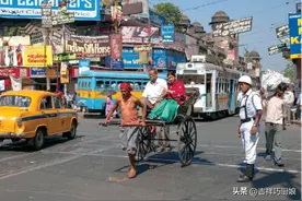 大批印度游客涌入中国，表面是来旅游，实则是看上了我们的白酒？图片