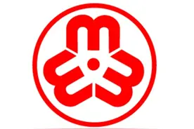 女权与女拳图片