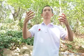 写站桩分享一年了，谈谈我此刻的感受，给自己一个小总结图片