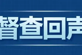 有群众反映买插电混动车无法领取新能源汽车补贴，核查结果来了图片