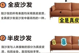 真皮沙发怎么选？3-4千的是真皮沙发吗？是黄牛、水牛、奶牛皮？图片