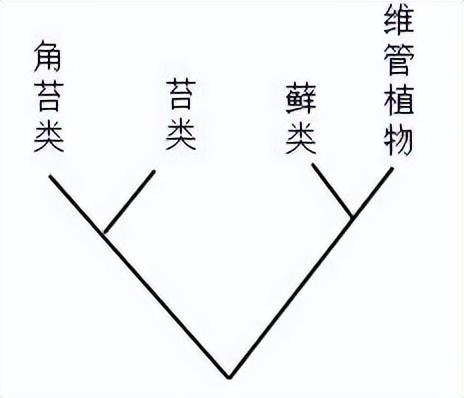 2021年全国中学生生物学联赛试题