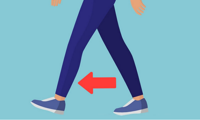 肢体是哪些部位图片,身体和大脑,是谁在支配谁? - 冷求网