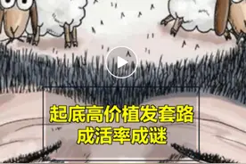 “三天学会”“月入百万”？植发手术需要的是医生，不是速成班学员图片