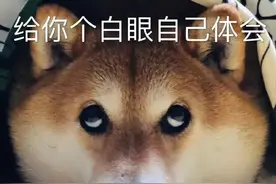 表情包：给你个白眼自己体会图片