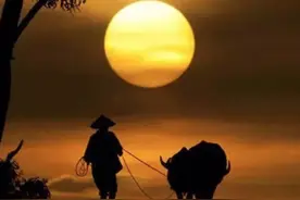全新解读余华封神之作《活着》！全新角度！图片