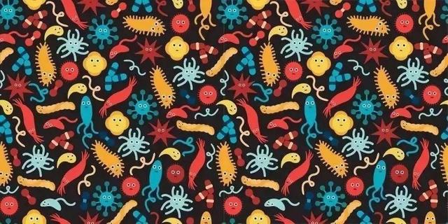 带您认识生活在我们肠道中的常见微生物“居民”