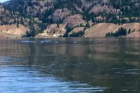 加拿大湖发现神秘“水怪”，游动时出现奇怪波浪，它究竟是什么？图片