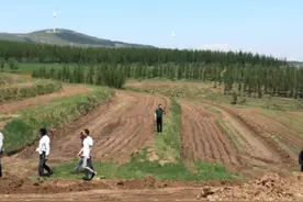 收到征地补偿安置决定怎么办？做好这四点可不必害怕图片