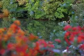 25句描写时间的诗句，岁月匆匆，一转眼就过了好多年图片