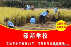 问题少年管教中心多少钱图片