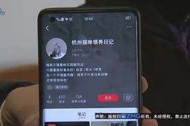 “小偿领养”布偶 姑娘被套路了？图片