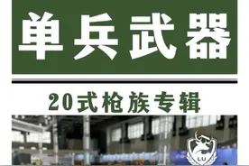 国产轻武器，20式枪族图片