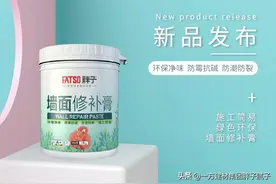 胖子-墙面修补膏 商场随拍图片