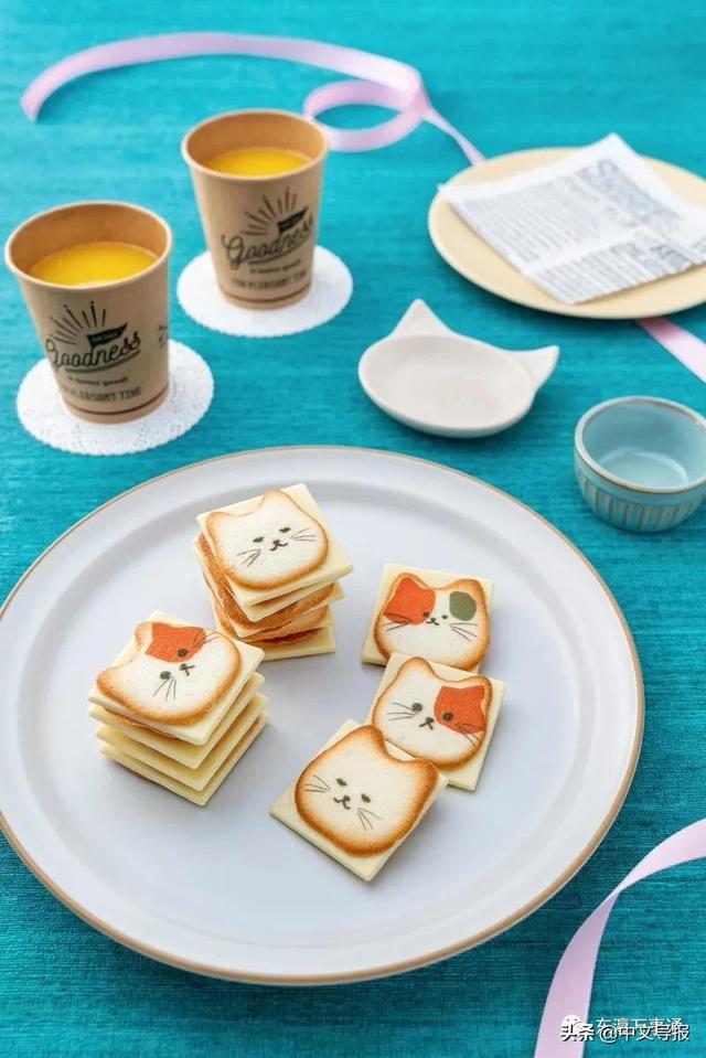 20220222:今天是百年难得一见的超级猫咪日