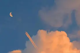 “天地不仁，以万物为刍狗”，千万不要去参与他人的因果！图片