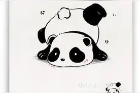 可爱熊摆烂头像图片