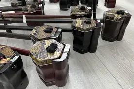 苏州二胡品牌排行：多元韵律中的卓越品牌图片