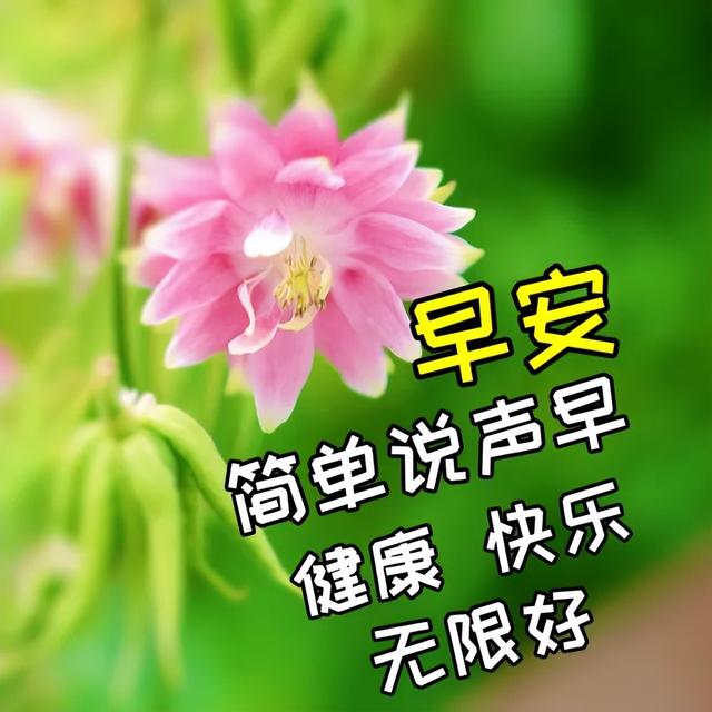暖心的早安问候语录