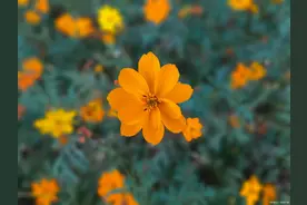 男人心疼妻子的3种表现，占两个以上，那你多半是找对了人图片