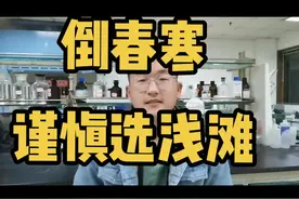 春天的雨后不一定好钓鱼，倒春寒谨慎选择浅滩#钓鱼#春钓浅滩视频封面