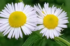 有一种关系：不联系，一直惦记图片