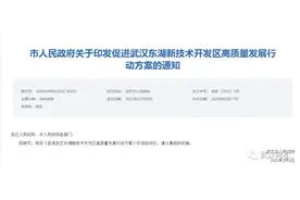 武汉三大风口片区现状图片