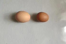 “多多买菜”的骗人技巧图片