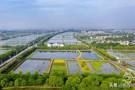 养殖尾水也能清澈见底！苏州渔业“绿色转型”有妙招图片