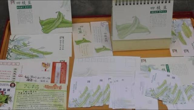 起源地品牌产品——濮阳四棱豆