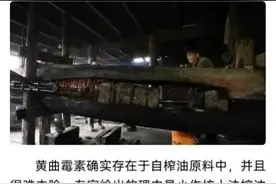 关闭自榨油小作坊，专家别拿农村开刀了，真欺负农村人啥都不懂？图片