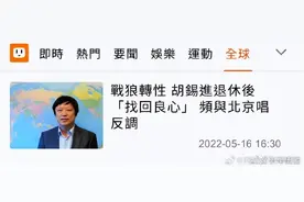 当胡锡进遭遇网络义勇军图片