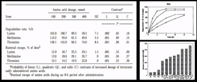 銆屽涔犵瑪璁般€嶅崪鐧绘攢鐮旂┒鍛橈細杩囩槫鑳冩皑鍩洪吀鐢熺墿鍒╃敤鐜囪瘎浠蜂笌鍒╃敤