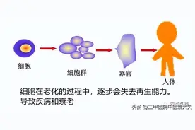 迈入中医之门（配视频）第27课：多汗怕热的主要发病原因和治疗图片