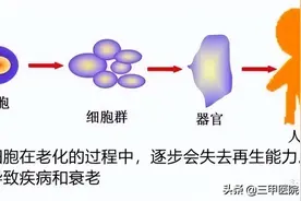 迈入中医之门（配视频）第27课：多汗怕热的主要发病原因和治疗图片